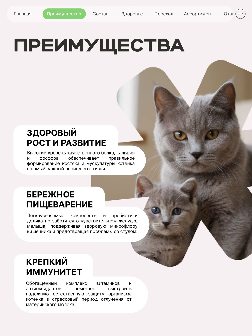 Корм сухой для котят породы Британская короткошёрстная, с ягненком, 400 гр, QUATTRO