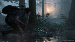 The Last of Us: Part 2 (Одни из нас: Часть 2) (диск для PS4, полностью на русском языке)