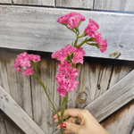 Статица искусственная