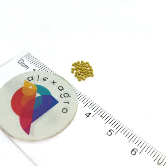 Петуния E3 EASY WAVE WHITE / ALEXAGRO – фото 5