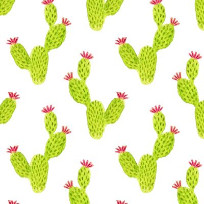 Акварельные кактусики