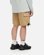 Шорты Anteater WideCargo бежевые
