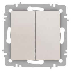 Выключатель Intro Accent 6-104-06 двойной, 10А-250В, IP20, СУ, AL/CU, перламутр | Intro