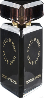 State Of Mind Secret of Success