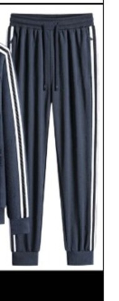 Штаны Tigershop  серые