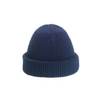 Шапка ТАЙНА Beanie Short, синий