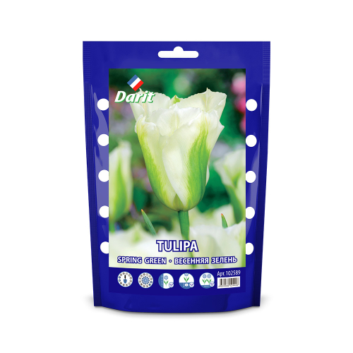 ЛУКОВИЦЫ ТЮЛЬПАН SPRING GREEN 12/14, DARIT 5 ШТ/