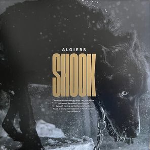 Algiers / Shook (Coloured Vinyl)(2LP)