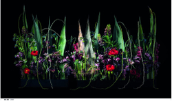 International Floral Art 2021/2022
