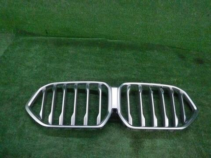 Решетка радиатора BMW X6 G06 (2019-н.в.) M-paket