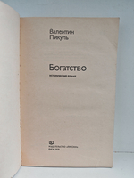 Богатство: Исторический роман