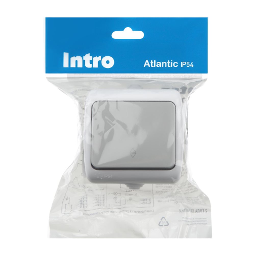 Переключатель Intro Atlantic 5-103-03 10А-250В, IP54, открытой установки, серый | Intro