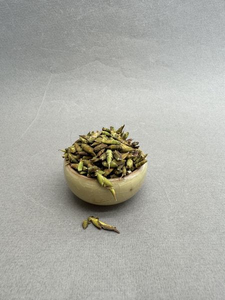 Коготь дракона