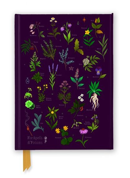 Bloknot \ Блокнот \ Notebook Anna Stead: For Spells &amp; Potions (Foiled Journal)