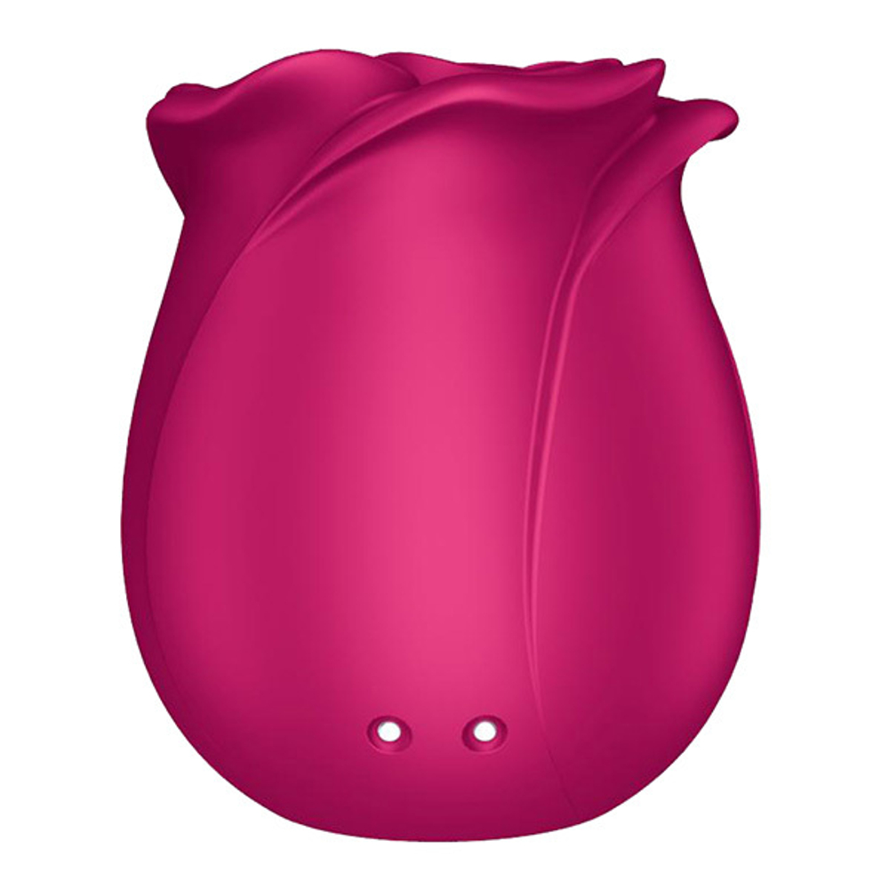 Малиновый вакуум-волновой стимулятор Satisfyer Pro 2 Classic Blossom 4065854