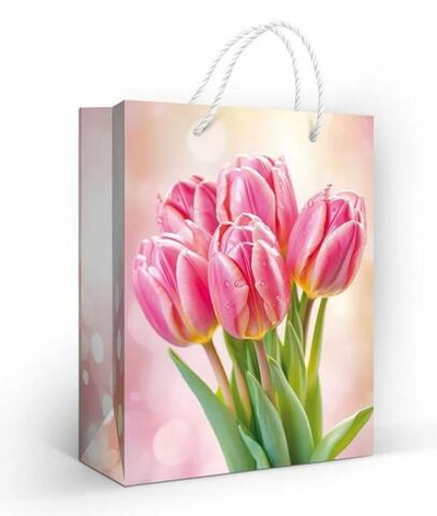 Пакет подарочный (M) "Розовый букет" (ГК Горчаков)