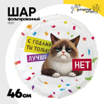Шар Фольгированный С ГОДАМИ ТЫ ЛУЧШЕ Кот Сердитый (Ассорти)