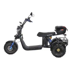 Электроскутер SKYBOARD CITYCOCO TRIKE BR40-3000 PRO FAST OFF-ROAD