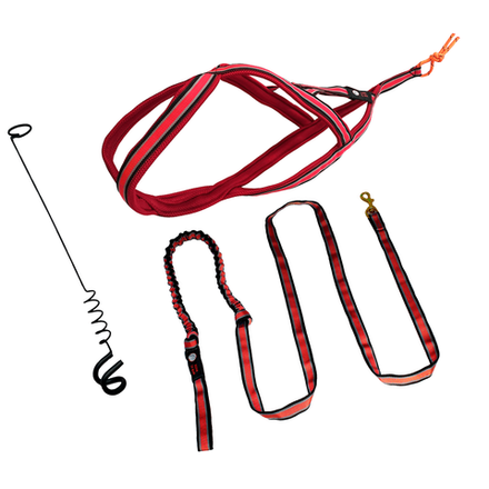 Комплект амуниции для байкджоринга и догскутеринга White Wolf серия Спорт