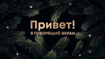 «Новогодние Ролики»