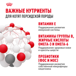 Royal Canin Persian Kitten Корм сухой сбалансированный для персидских котят 2 кг