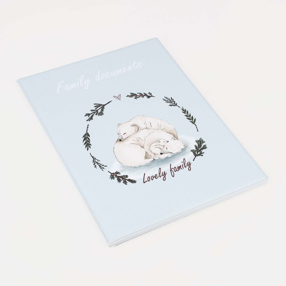 9530336 Папка для семейных документов,3 комплекта, цвет серый