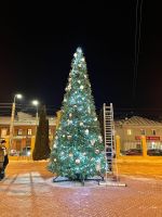 уличная елка ствольная