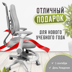 Кресло для школьника с подлокотниками Ergokids Columbia Plus