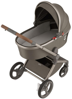 Детская коляска Anex Flo 2 в 1 Cesar