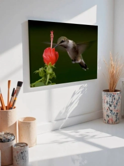 Картина на стену 40 X 50 Колибри
