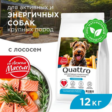 Корм сухой для взрослых собак крупных пород, премиум полнорационный комплекс, для активных и энергичных собак, с лососем, 12 кг, QUATTRO