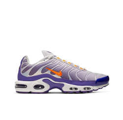 Мужские кроссовки Nike Air Max Plus 'Color Flip' CI5924-531