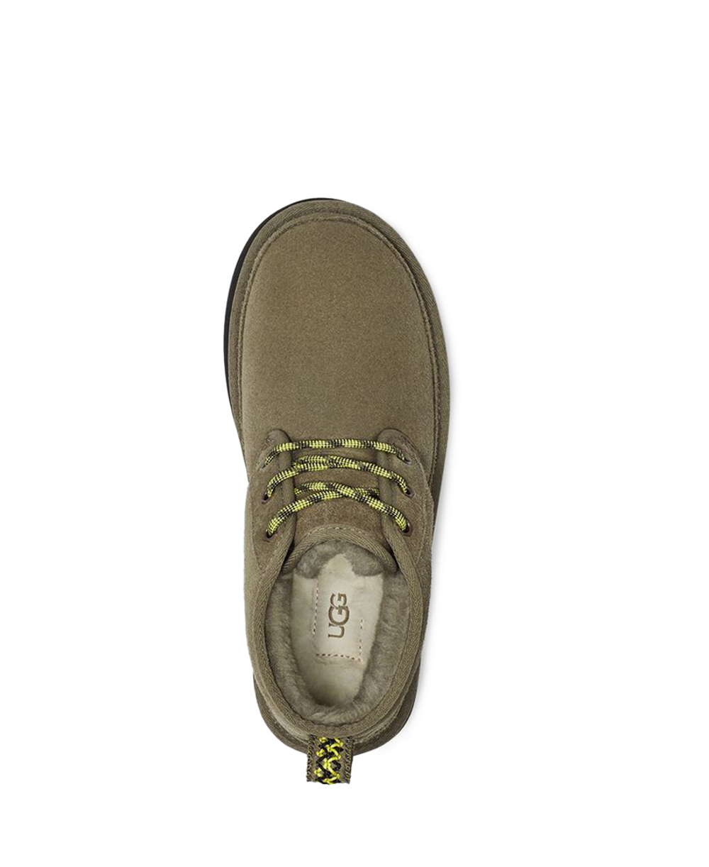 NEUMEL HERITAGE PLATFORM-forest night
