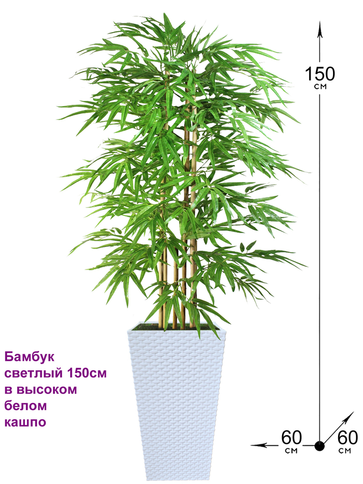 Искусственный Бамбук светлый 150см в белом кашпо ротанг