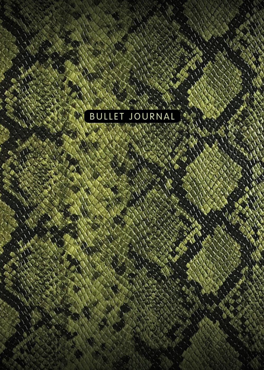 Блокнот в точку: Bullet Journal (змея, 120 c., пружина)