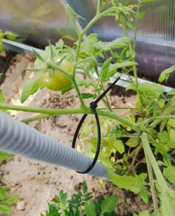 Хомут стяжка пластиковая, хомут нейлоновый черный 4,8х200мм