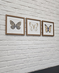 Картина 30х30см Tomas Stern 83011