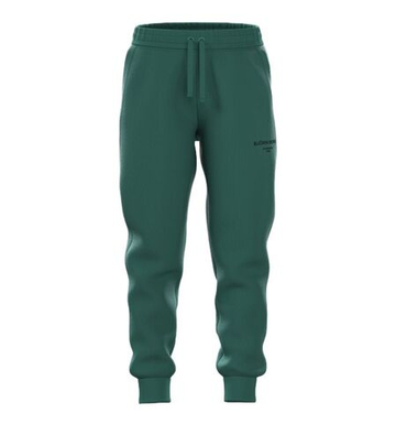 Штаны для мальчика теннисные Björn Borg Essential 1 - posy green