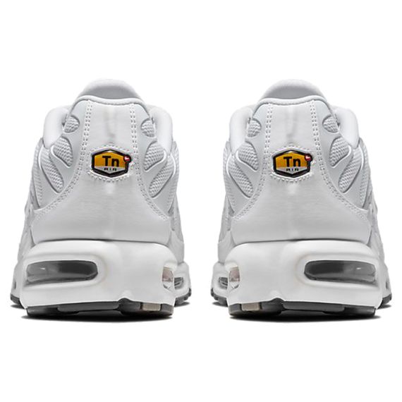 Кроссовки Nike Air Max Plus Мужские