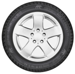 Шина зимняя Gislaved Soft Frost 200 175/65 R14 82T