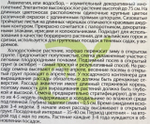 Аквилегия Маккана Гигант 0,1 г СМЦ-359