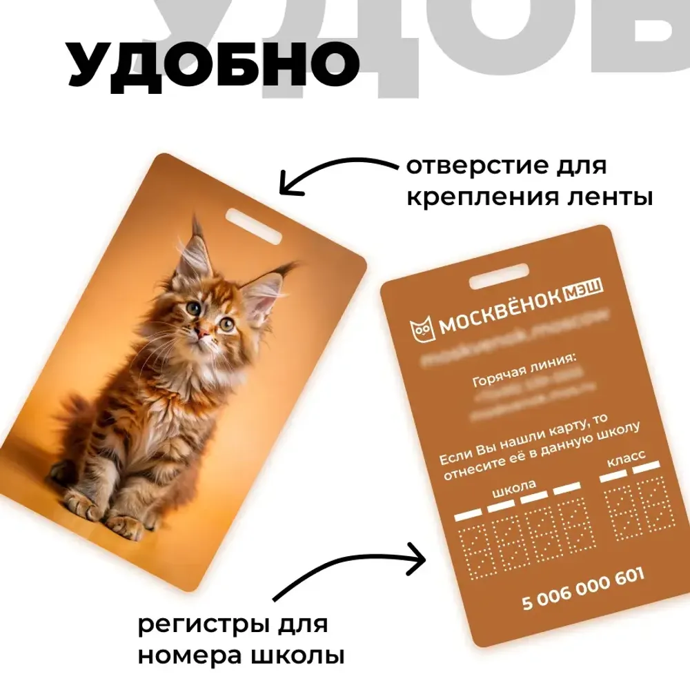 Карта Москвёнок CATS №4 (проход + питание)