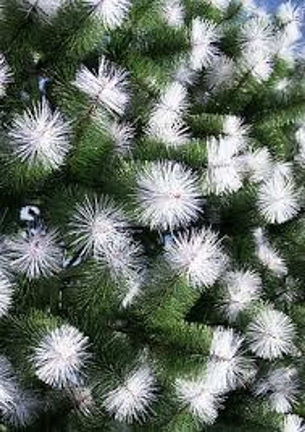 Уличная елка ствольная "Альпийская сосна" (Леска бело-зеленая) 4 м