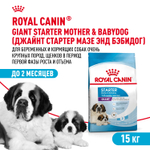 Сухой корм Royal Canin Giant Starter для щенков очень крупных размеров до 2 месяцев, беременных и кормящих сук 15кг