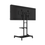 Интерактивная панель Horizon Scan c документ-камерой 65"