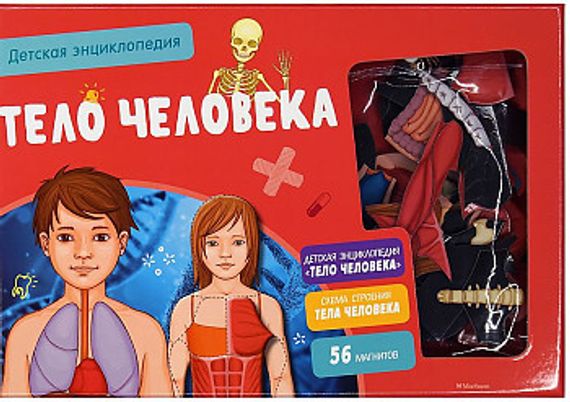 Детская энциклопедия. Тело человека