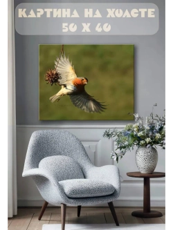 Картина на стену 40 X 50 Птица