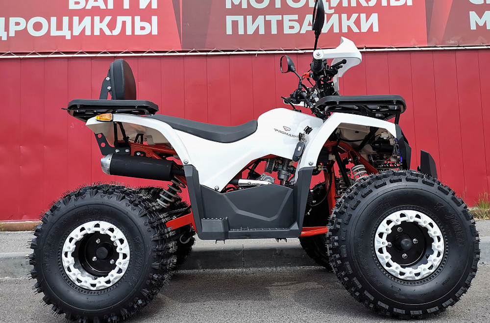 Квадроцикл PROMAX WILD 2.0 190 LUX