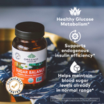 Organic India, Sugar Balance, здоровый метаболизм глюкозы, 90 растительных капсул