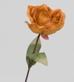 TRN 240 Магнолия